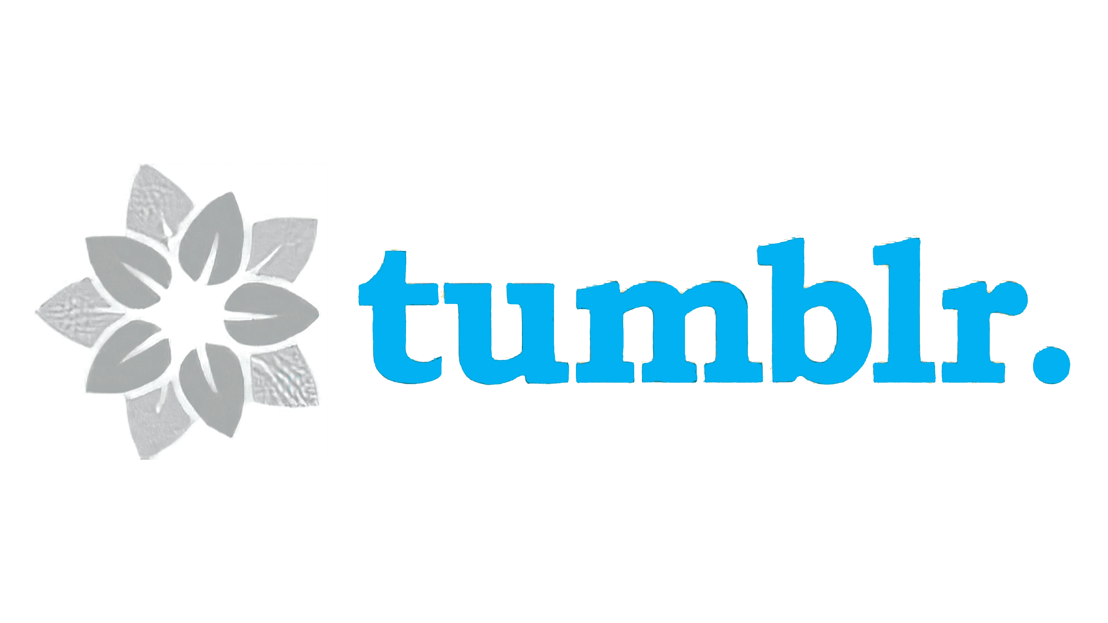 100～999人のフォロワーがいるTumblrアカウント