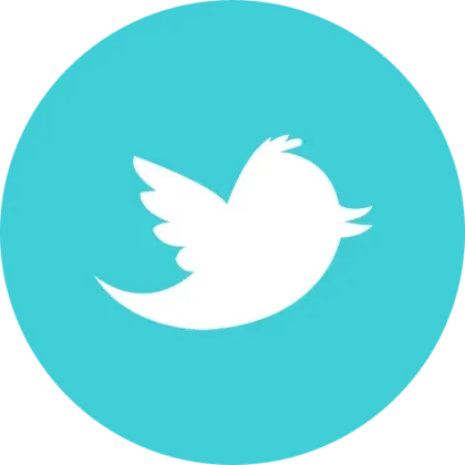 Twitter New Zealand old account - 2FA enabled - Verified Hotmail email - Standard local - Registered in 2020