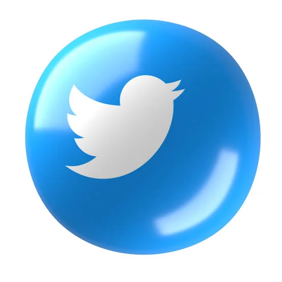 Twitter NFT 🧿 | 2023–2024 🗓️ | 欧洲 🇪🇺 IP | 无屏蔽 🌞