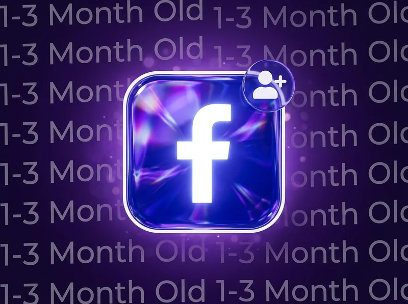 Facebook 2-5个月老号（可访问代码）含邮箱访问权限 已开启双重验证 强账号 最适合广告投放及其他工作